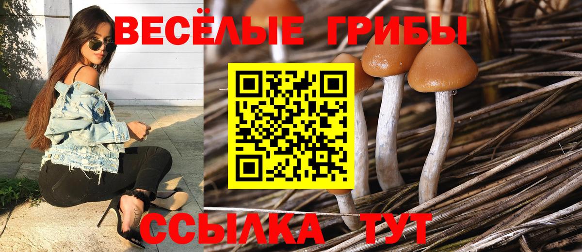 Галлюциногенные грибы GOLDEN TEACHER Советск